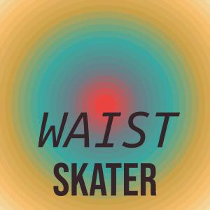 Various的专辑Waist Skater