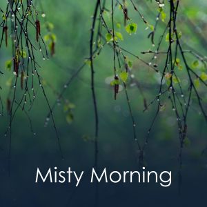 Relaxing Rain的专辑Misty Morning