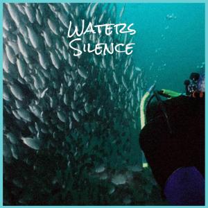 Album Waters Silence from 