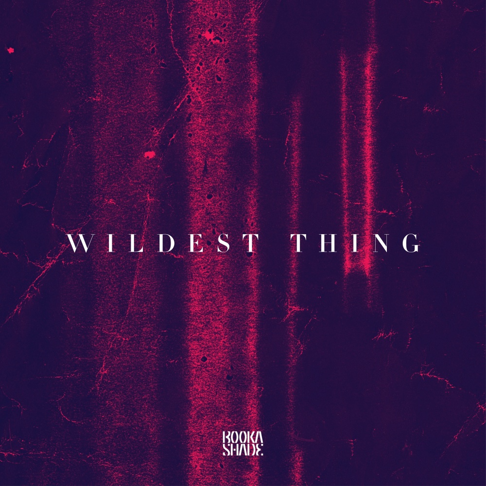 Wildest Thing (No Vocal Mix)