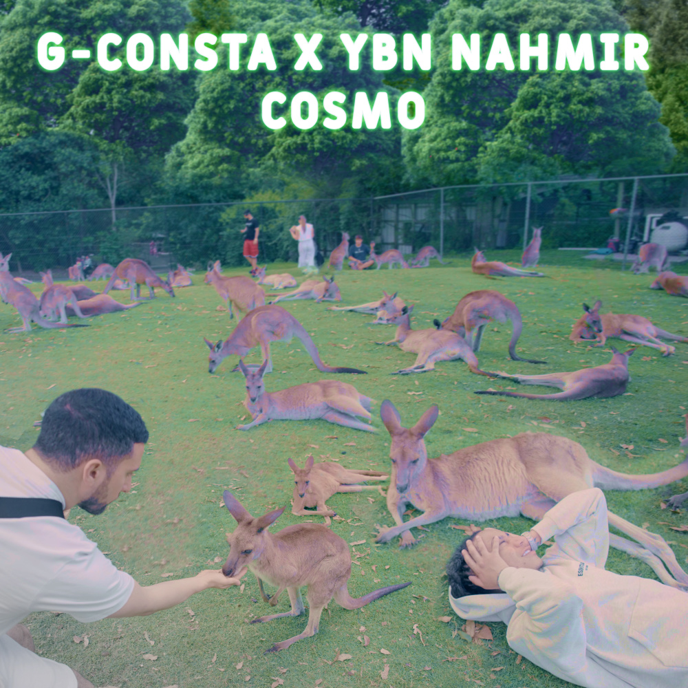 Cosmo (Explicit)