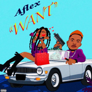 Listen to Want (Explicit) song with lyrics from Aflex