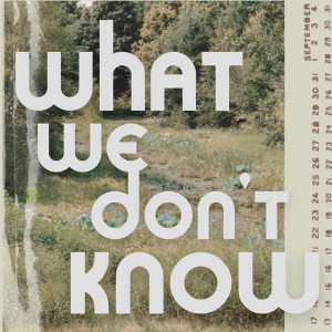 Painted West的專輯What We Don't Know