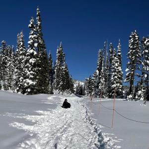 Neva Davis的專輯COLDER THAN B4