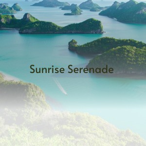 ดาวน์โหลดและฟังเพลง Song of India พร้อมเนื้อเพลงจาก Mantovani Orchestra