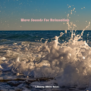 ดาวน์โหลดและฟังเพลง Wave Sounds For Relaxation (ASMR, Nature Sound) พร้อมเนื้อเพลงจาก J.Roomy
