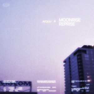 ayokay的專輯Here, Forever (Moonrise Reprise)