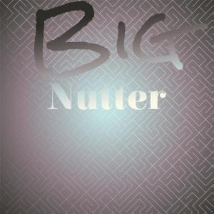 Listen to Big Nutter song with lyrics from Danie Sweer