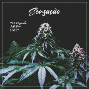 ดาวน์โหลดและฟังเพลง Sensação (Explicit) พร้อมเนื้อเพลงจาก Mc Mesquita