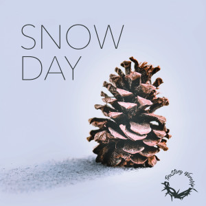 อัลบัม Snow Day ศิลปิน TRuSTORY Worship