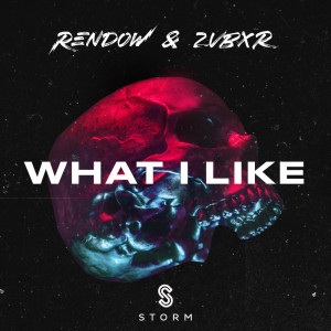 Listen to What I Like song with lyrics from Rendow