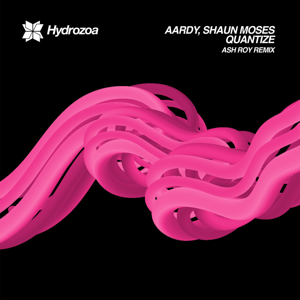 Quantize (Ash Roy Remix)