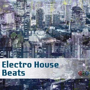 Rupert Pope的專輯Electro House Beats