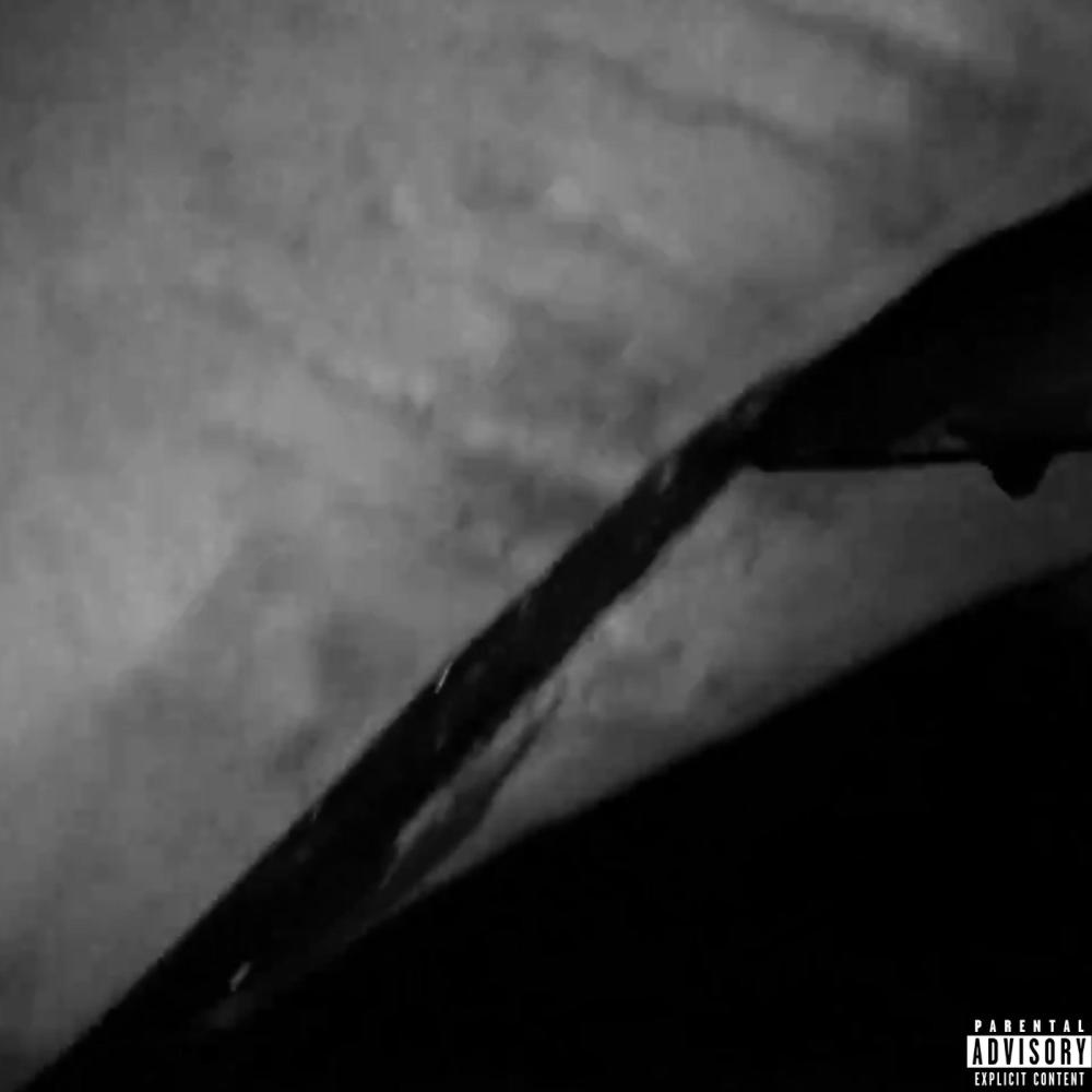 Just Like The Rest 2 (feat. Kmrnxo, k1lltr4sh & ilymeow|remix|Explicit)