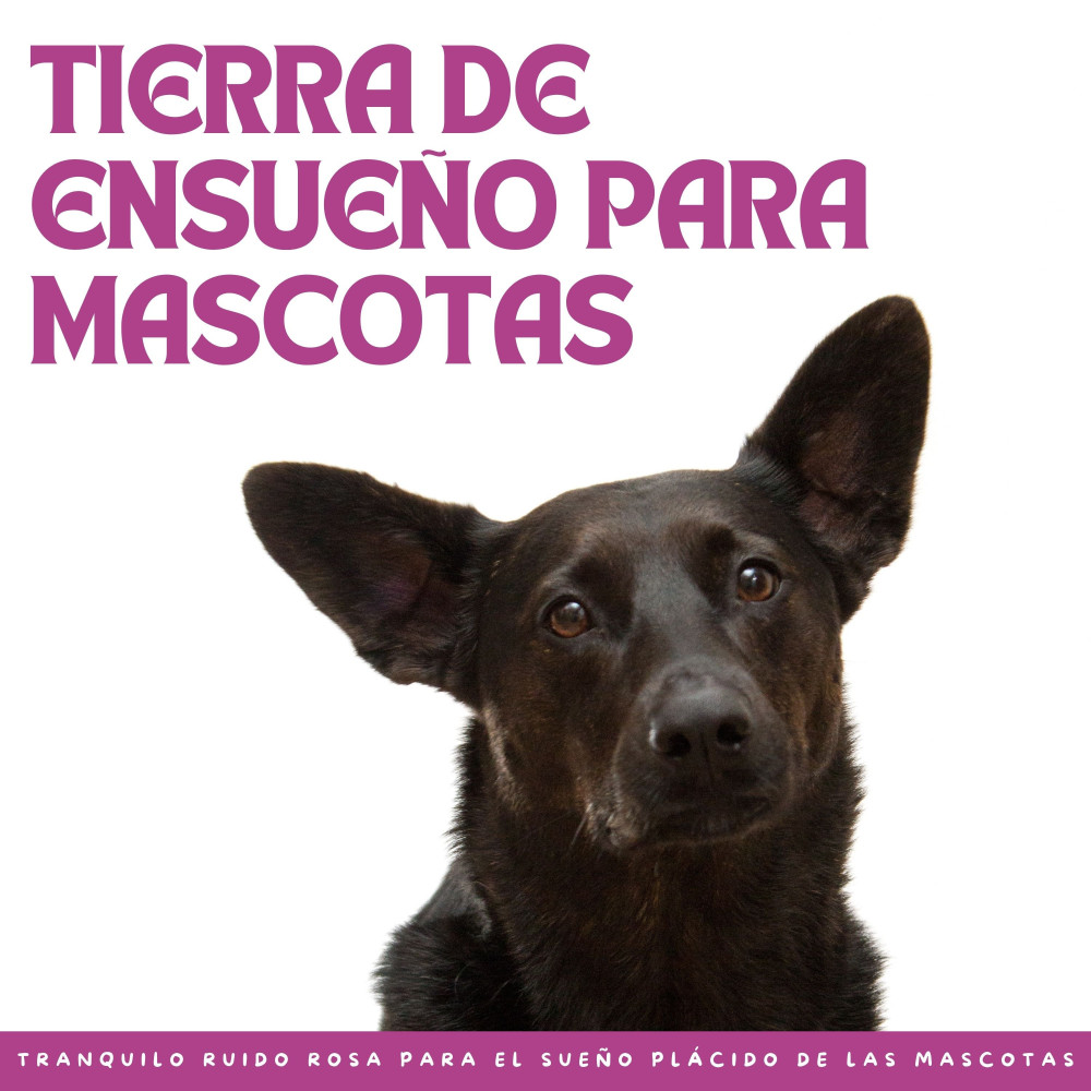 Refugio De Descanso Para Las Mascotas