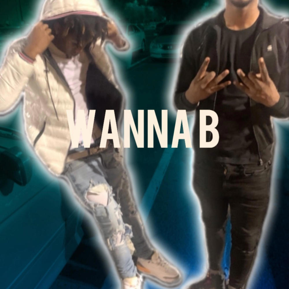Wanna B (feat. BloccBliccyBaby) (Explicit)