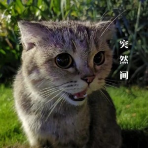Album 突然间 from 贾剑龙