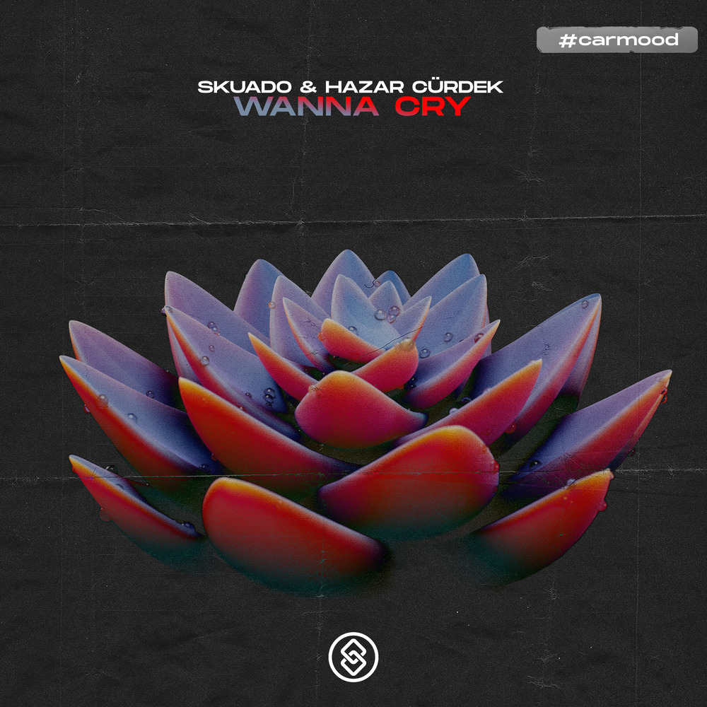 Wanna Cry (Extended Mix)