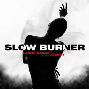 Album Slow Burner (Explicit) oleh Larry Gaaga