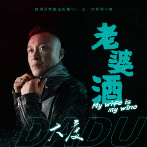 Listen to 老婆酒 (伴奏) song with lyrics from 大度