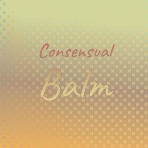 Various的专辑Consensual Balm