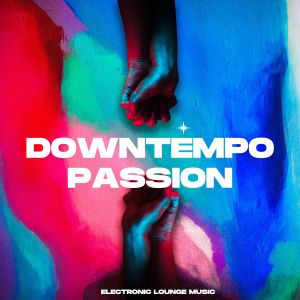 Album Downtempo Passion (Electronic Lounge Music) oleh Various