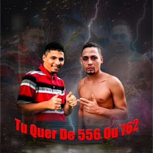 Listen to Tu Quer de 556 ou 762 song with lyrics from Danilo Perverso