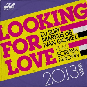 อัลบัม Looking for Love 2013 ศิลปิน DJ Suri