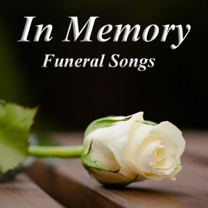 Listen to My Heart Will Go On song with lyrics from Wildlife