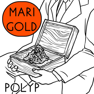 Album Marigold from 폴립