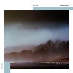 Listen to Lacuna song with lyrics from Norvik