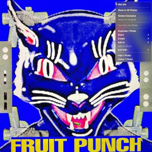อัลบัม Fruit Punch (Explicit) ศิลปิน Julian Maas