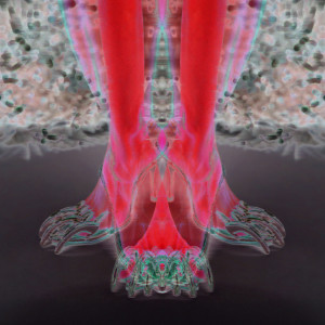 default album img