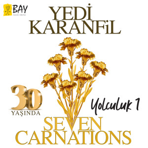 Listen to Bir Nefes Aşk (Oğlum Nefes Naci'ye) song with lyrics from Ertan Tekin