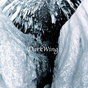Listen to Djs Are Not People song with lyrics from Darkwing