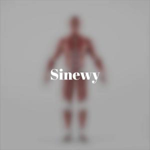 Album Sinewy oleh Various