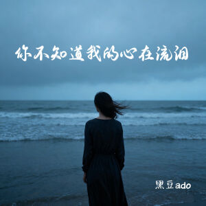 Album 你不知道我的心在流泪 from 黑豆ado