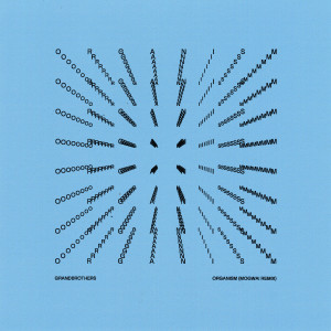 收聽Grandbrothers的Organism (Mogwai Remix)歌詞歌曲