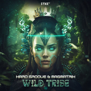 Listen to Wild Tribe song with lyrics from Hard Groove