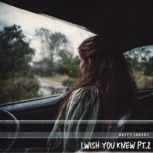 Matty Shreds的專輯I Wish You Knew Pt. 2