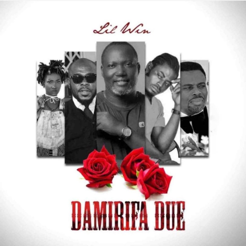Damirifa Due