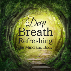 Dengarkan lagu The Ballad of a Steady Breath nyanyian Relax α Wave dengan lirik