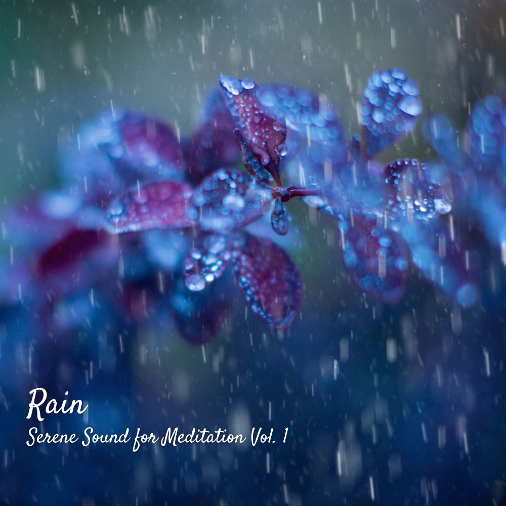 Rain for Bedtime Relaxation