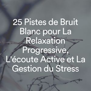 25 Pistes de Bruit Blanc pour La Relaxation Progressive, L'écoute Active et La Gestion du Stress dari Multi-interprètes