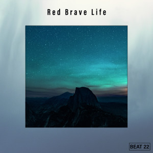 Various Artists的專輯Red Brave Life Beat 22