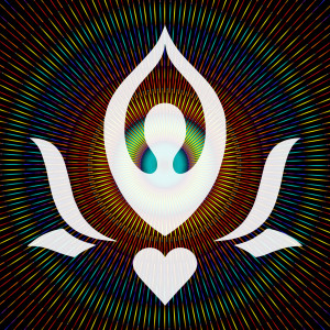 7 Chakras的專輯Namaste