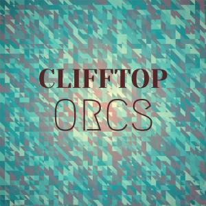 Various的专辑Clifftop Orcs