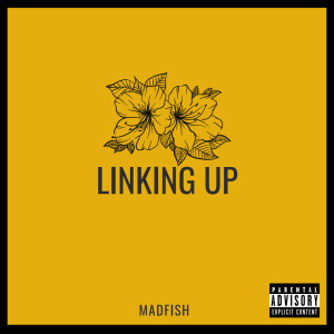 收聽Madfish的Linking Up (Explicit)歌詞歌曲