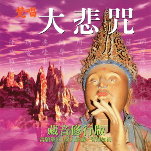 收听萧蔓萱的梵唱大悲咒 藏音修行版 (当愿众生 深入经藏 智慧如海) (當願眾生 深入經藏 智慧如海)歌词歌曲