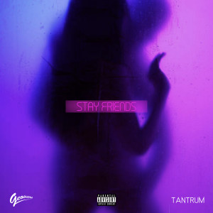 Album Stay Friends (Explicit) from Geovarn